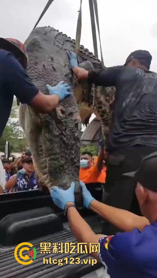 鳄鱼杀人开宴！小镇女孩惨遭下肚，砂捞越首次鳄鱼吃人，残骸成谜！-10