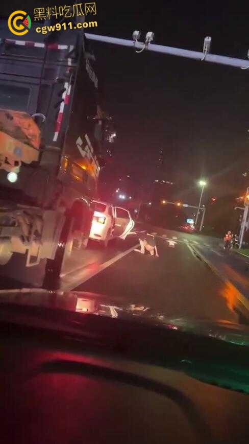 这是个有味道的视频，南沙红绿灯路口拉屎，这是憋不住了吗，还有美女下来送纸，这小翘臀还挺性感的！-4