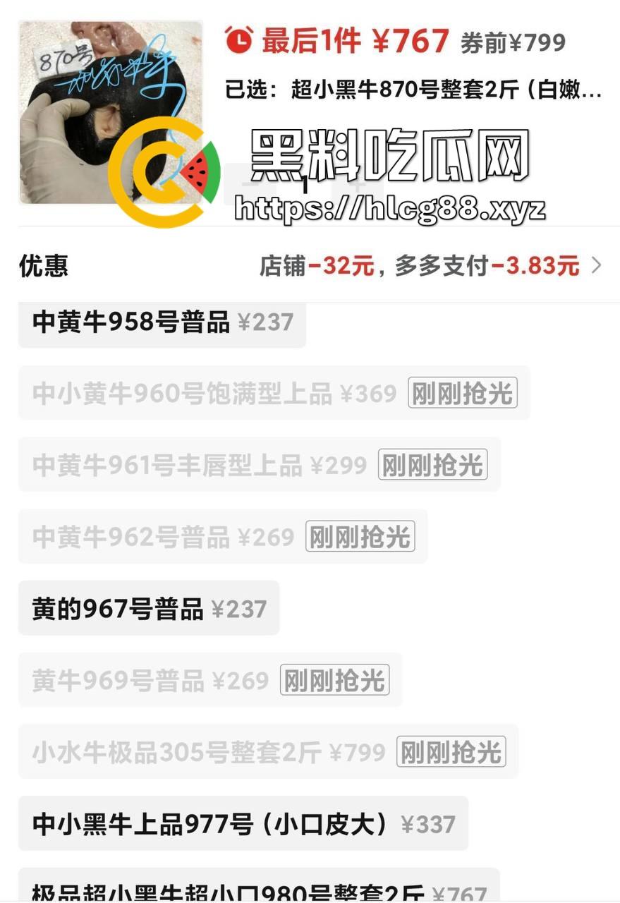 仿真牛逼飞机吞屌神器,各式号码选配让你爽,谁买这玩意撸?印度阿三日牛舔逼狂爱,卖他们直接当首富!-5