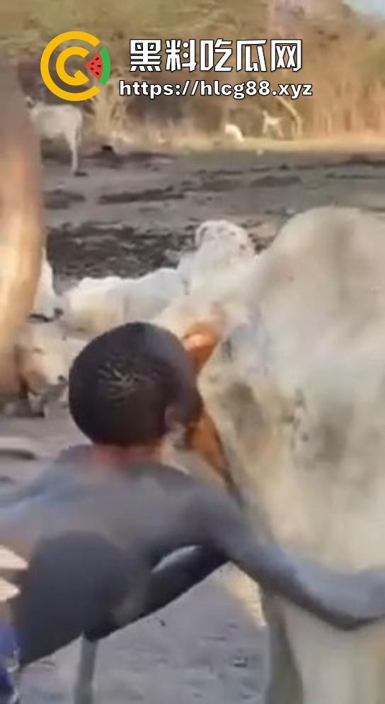 仿真牛逼飞机吞屌神器,各式号码选配让你爽,谁买这玩意撸?印度阿三日牛舔逼狂爱,卖他们直接当首富!-11