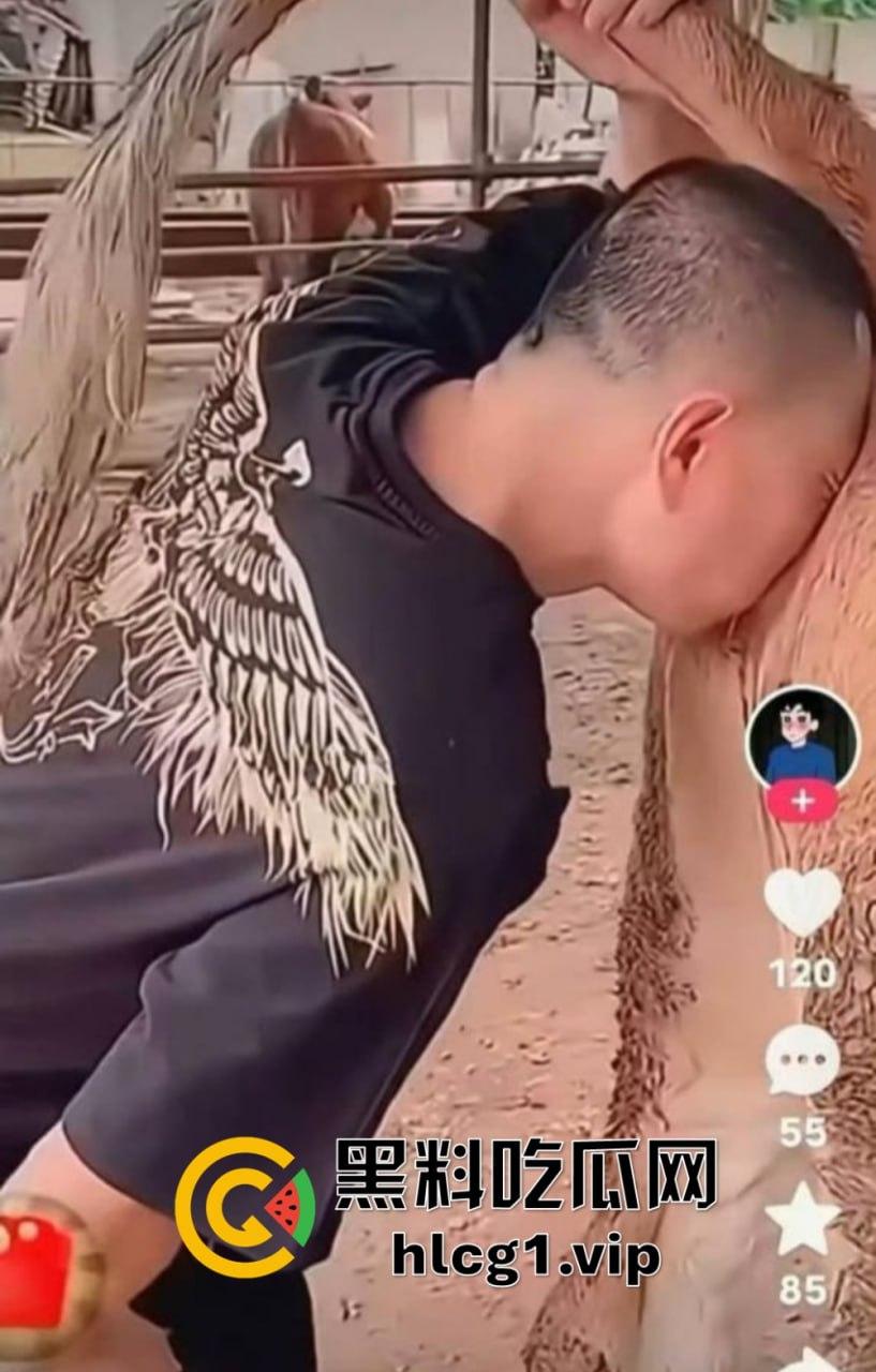 快手349万粉丝网红鬼马PK惨败,当场直播吃牛逼!果然快手就是个重口味大集合!-5